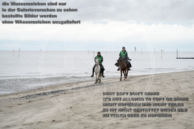 s_K3F04688.JPG